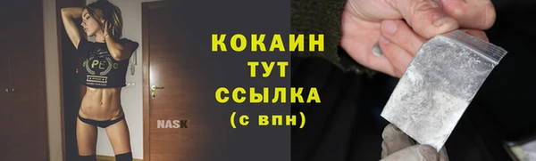 соль ск Алексин