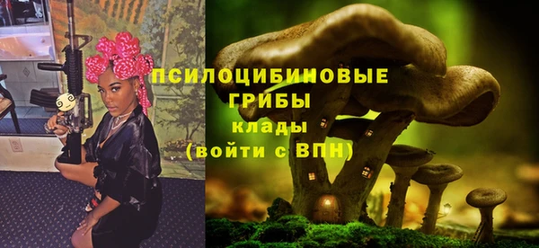 молекула духа Алексеевка