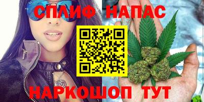 дживик Моздок