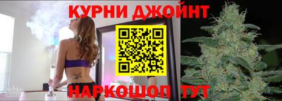дживик Моздок