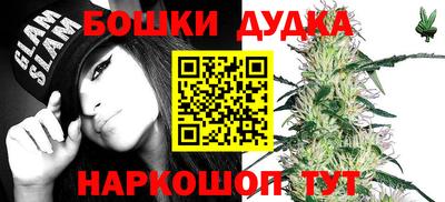 дживик Моздок