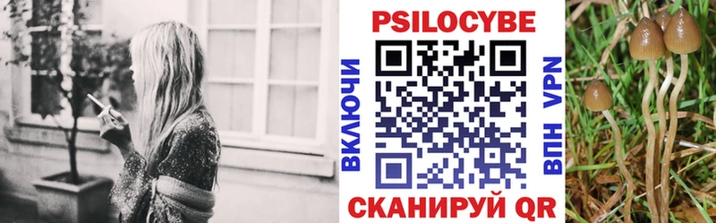 Галлюциногенные грибы мицелий  закладка  Дивногорск 