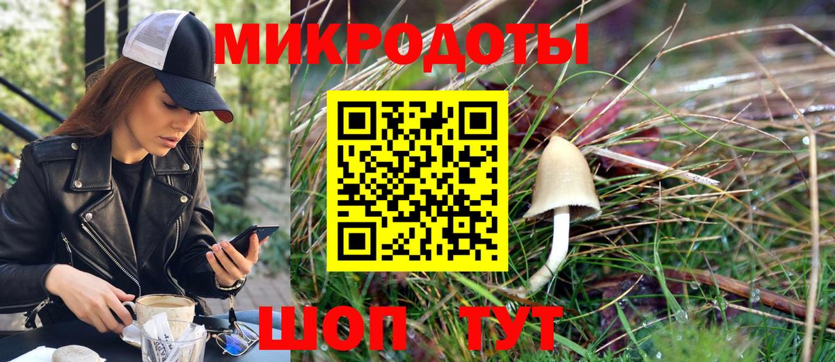 Галлюциногенные грибы мицелий Дивногорск